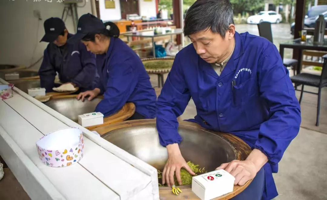 狮峰山上的传奇茶人