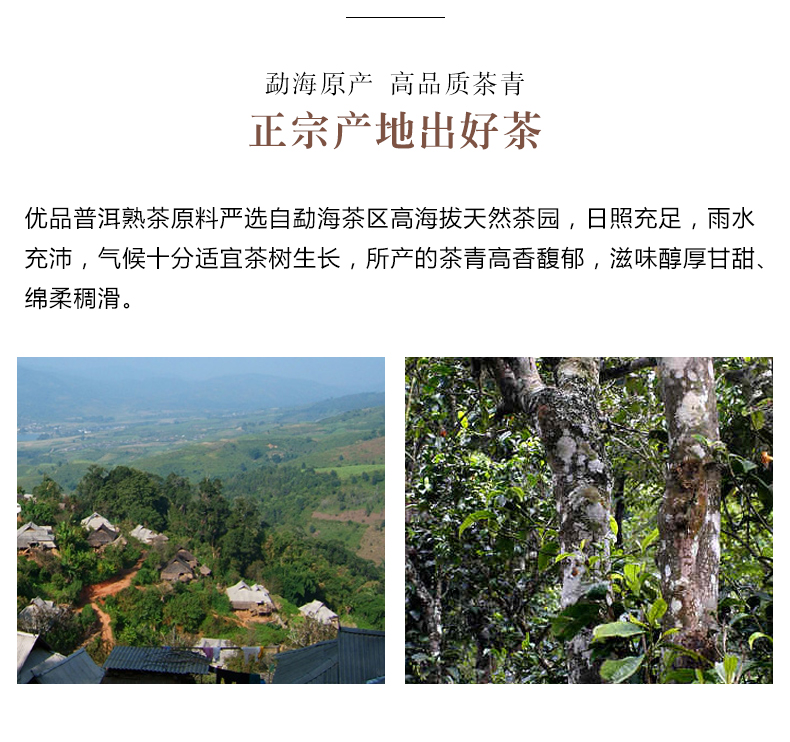 线上优品熟普详情页2018_03.jpg