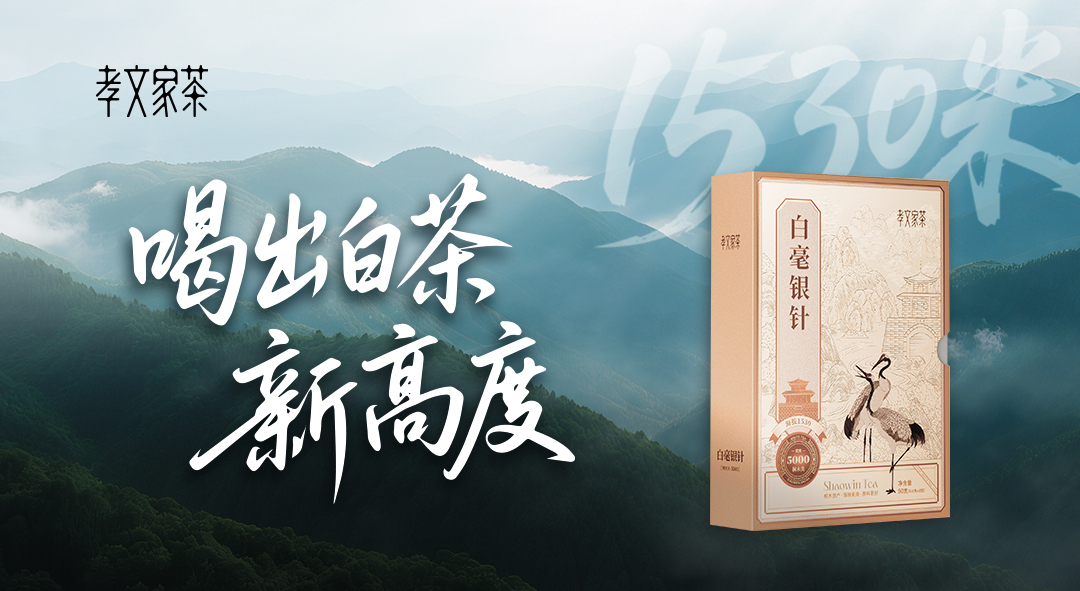 孝文家茶首创桐木白茶：以世界级生态，重新定义白茶高度
